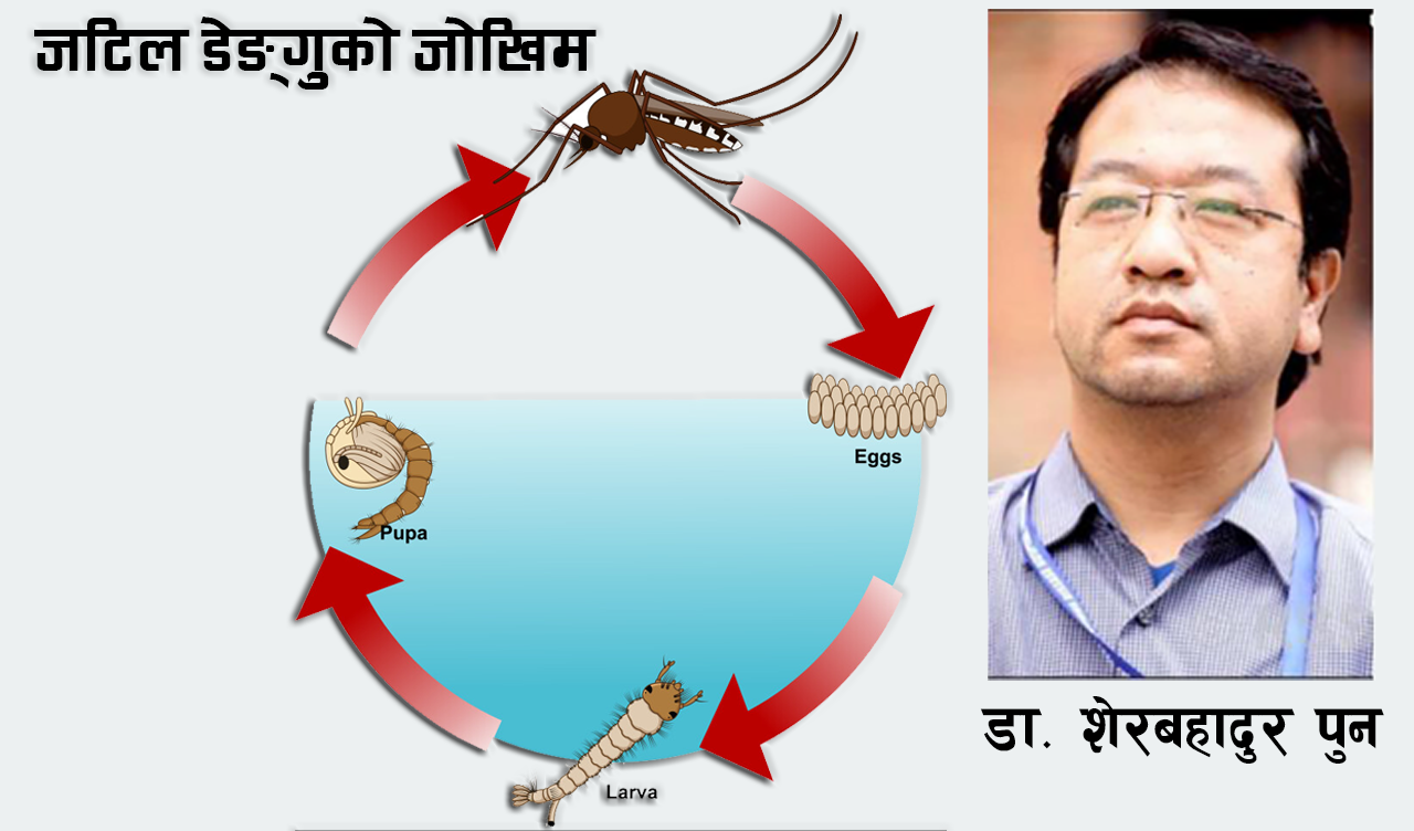 ‘जटिल डेङ्गु’ निम्त्याउन सक्ने पूर्वसङ्केतहरु