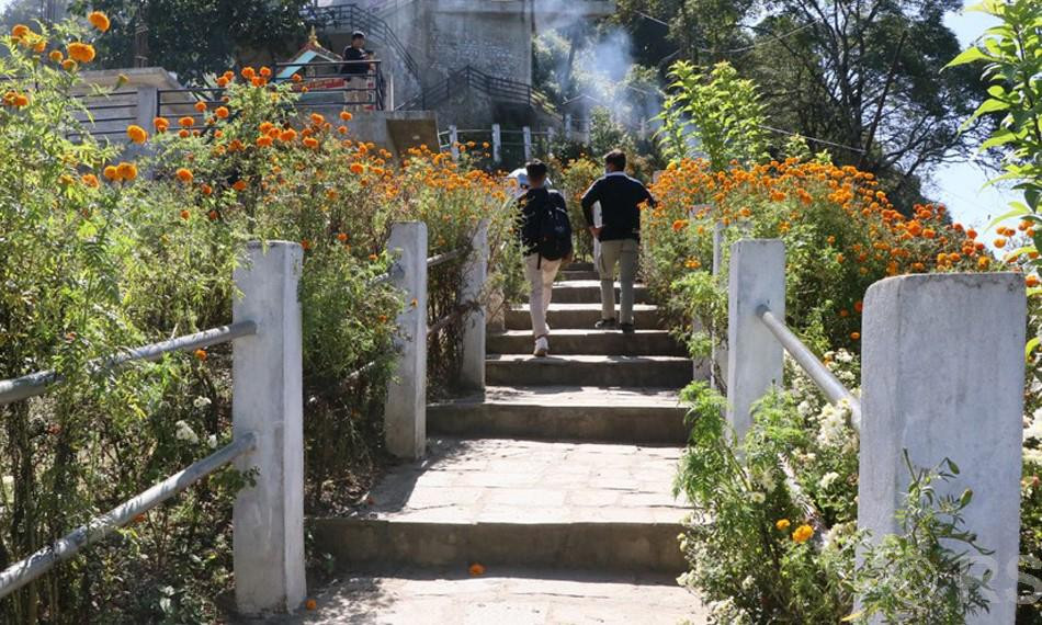 मझुवागढीलाई ‘फूलैफूलको पहाड’ बनाउने अभियान