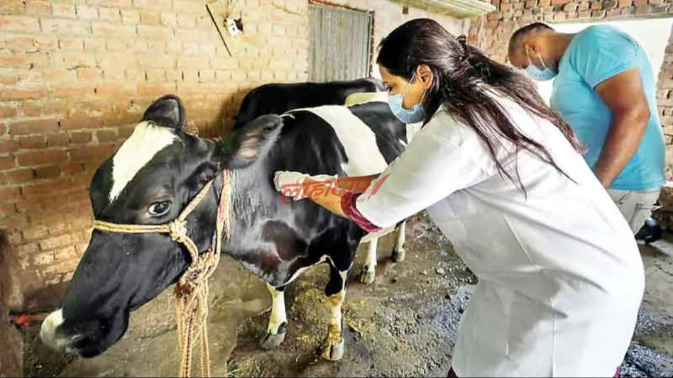 कृषि तथा पशुपन्छी बीमाको ‘रियल टाइम सफ्टवेयर’ को शुभारम्भ