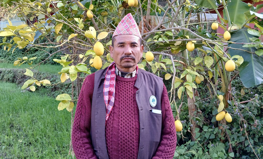 डोटीको पुर्बीचौकी गाउँपालिका–६ को वडाध्यक्षमा कांग्रेसका मोहन थापा विजयी