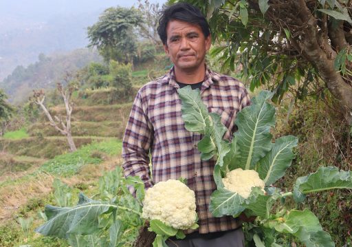 २३ लाख ८० हजार किसान सूचीकृत