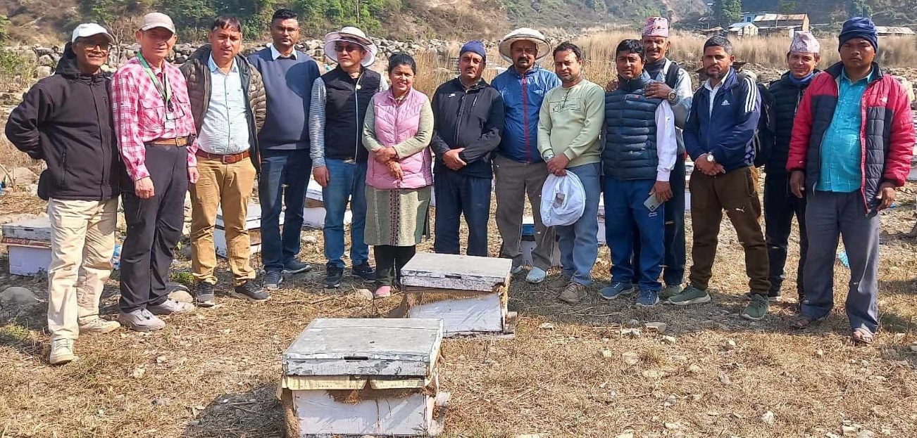 नेपालमा पहिलो पटक मौरी घारमा देखियो ‘ट्रोपिलाप्सिस माइट’