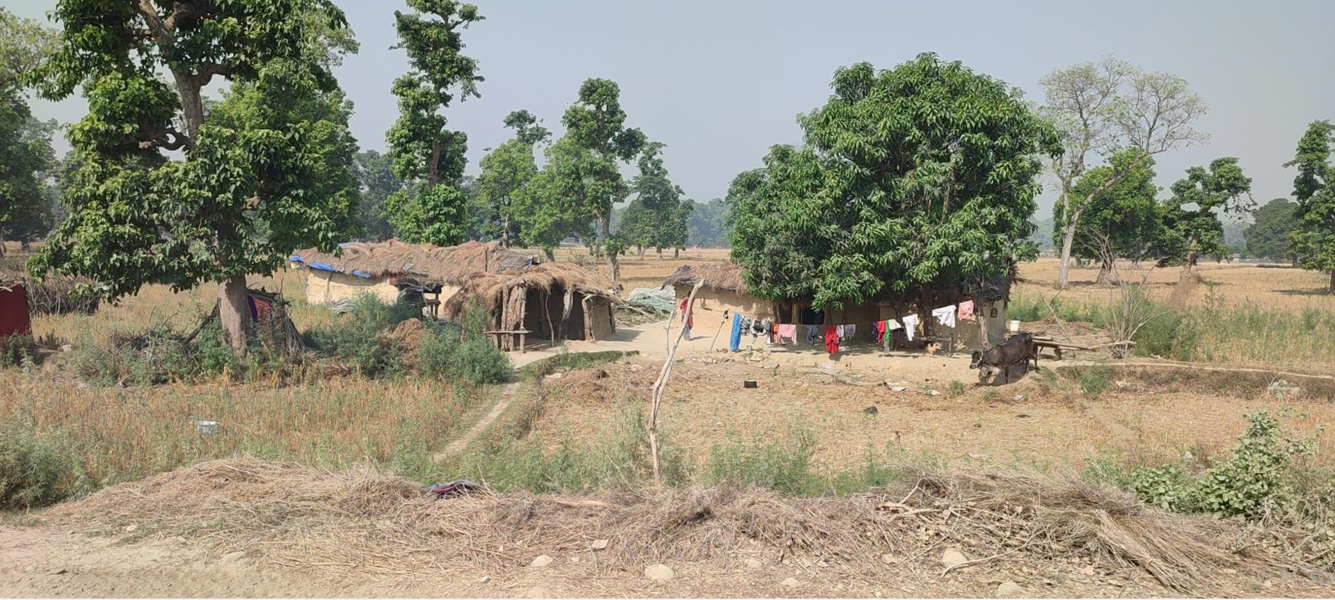 चौबीस वर्षदेखि न्यायको पखाईमा शुक्लाफाँटा आरक्ष विस्थापित