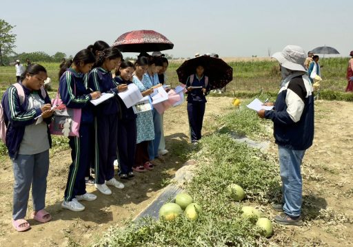 पोखरामा तरबुजा खेतीः चार महिनामा १५ लाख रूपैयाँ आम्दानी