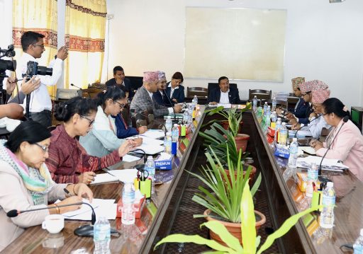 अर्थसमितिमा बाफियामाथि छलफल