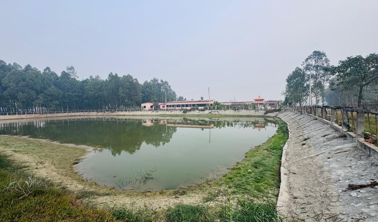नमूना बन्यो गौरादहको ‘सहकारी खेती’ र ‘कृषि घरबास’