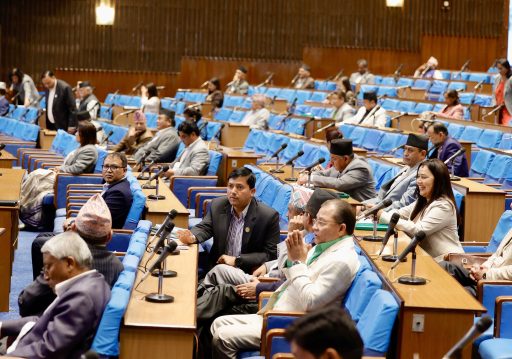 प्रिसा साह मृत्यु प्रकरणमा छानबिनका लागि पहल गर्न सरकारलाई निर्देशन