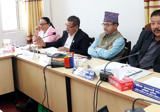 मनसुनअघि नै जोखिमको आँकलन गरेर पूर्वतयारी थाल्न सरकारलाई निर्देशन