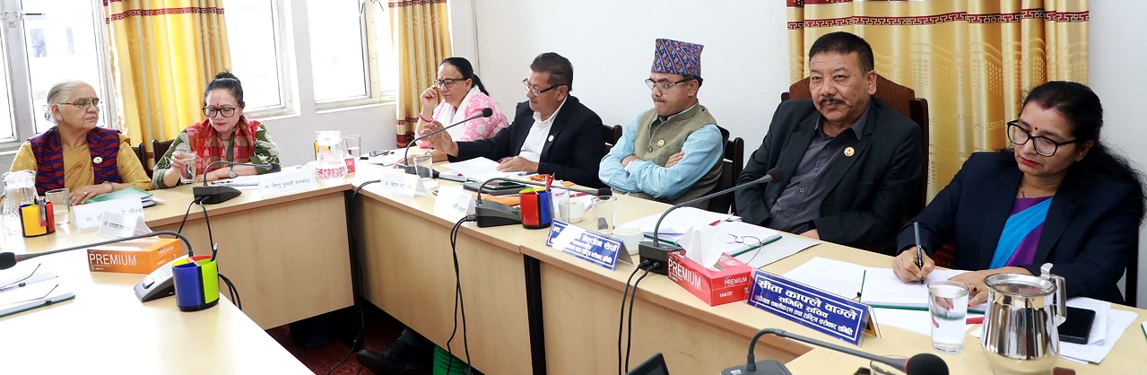 मनसुनअघि नै जोखिमको आँकलन गरेर पूर्वतयारी थाल्न सरकारलाई निर्देशन