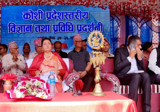 परिवर्तन अनुभूत हुने गरी दिगो आर्थिक समृद्धि हासिल गर्नु अबको साझा गन्तव्यः पूर्वराष्ट्रपति भण्डारी