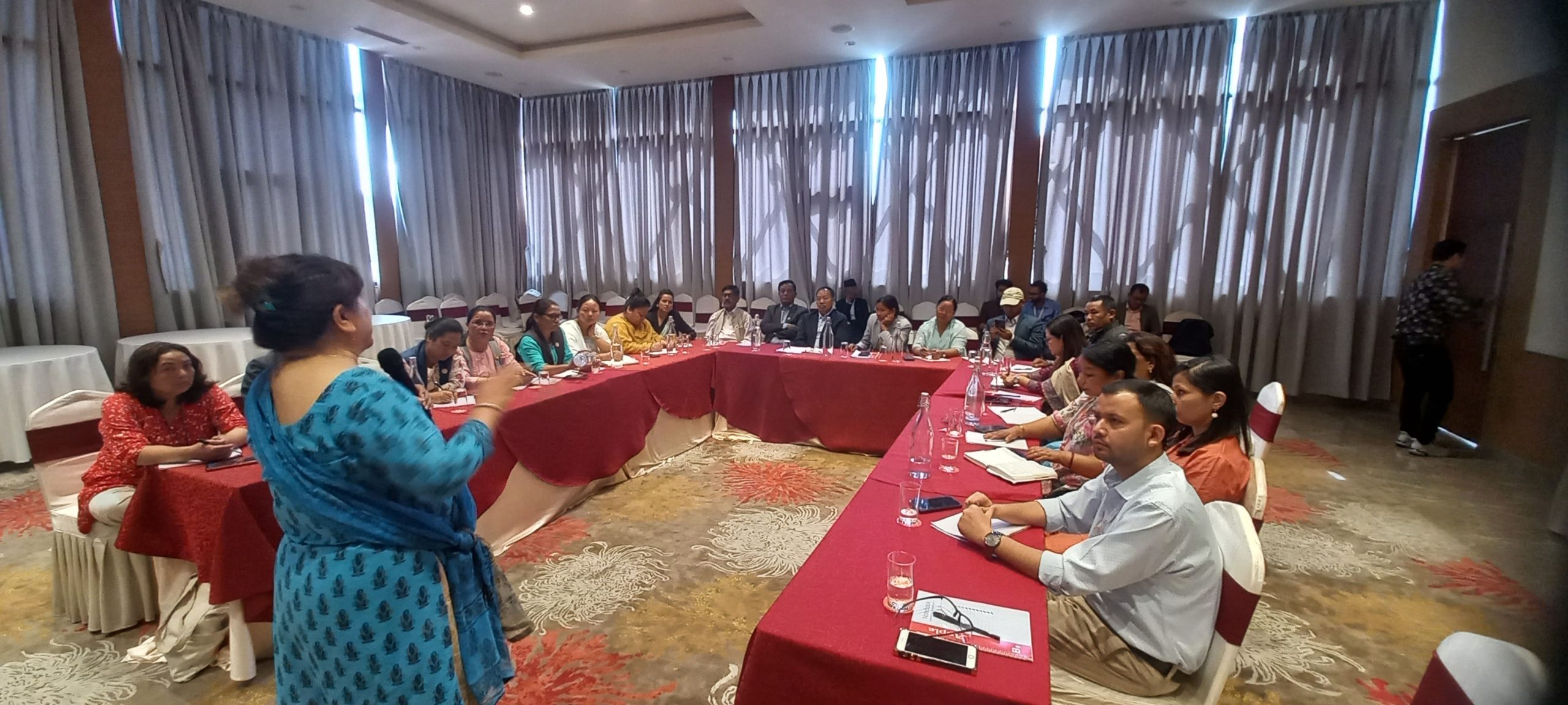सांसदहरूद्वारा घरेलु श्रमसम्बन्धी अन्तरराष्ट्रिय महासन्धिमा अनुमोदनमा सहयोग गर्ने प्रतिबद्धता