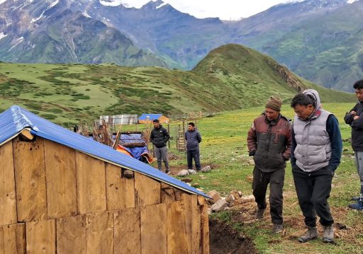 मुस्ताङका चार पालिकामा घुम्ती गोठ निर्माण