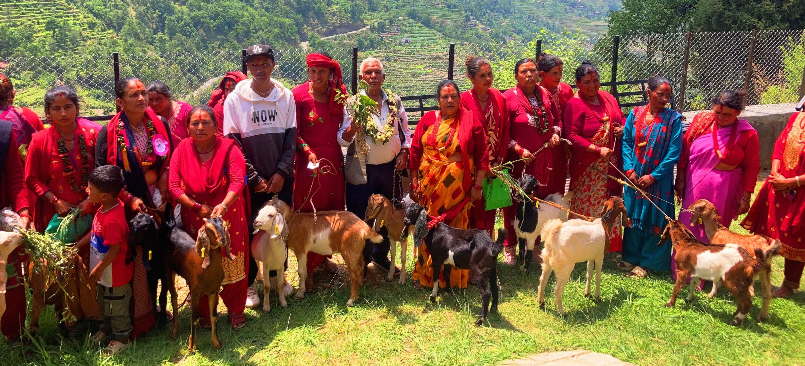 किसानका आयआर्जनमा सघाउन ‘बाख्रा उपहार’
