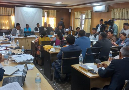 एनआरएनएद्वारा नेपाली नागरिकसरहको नागरिकता माग