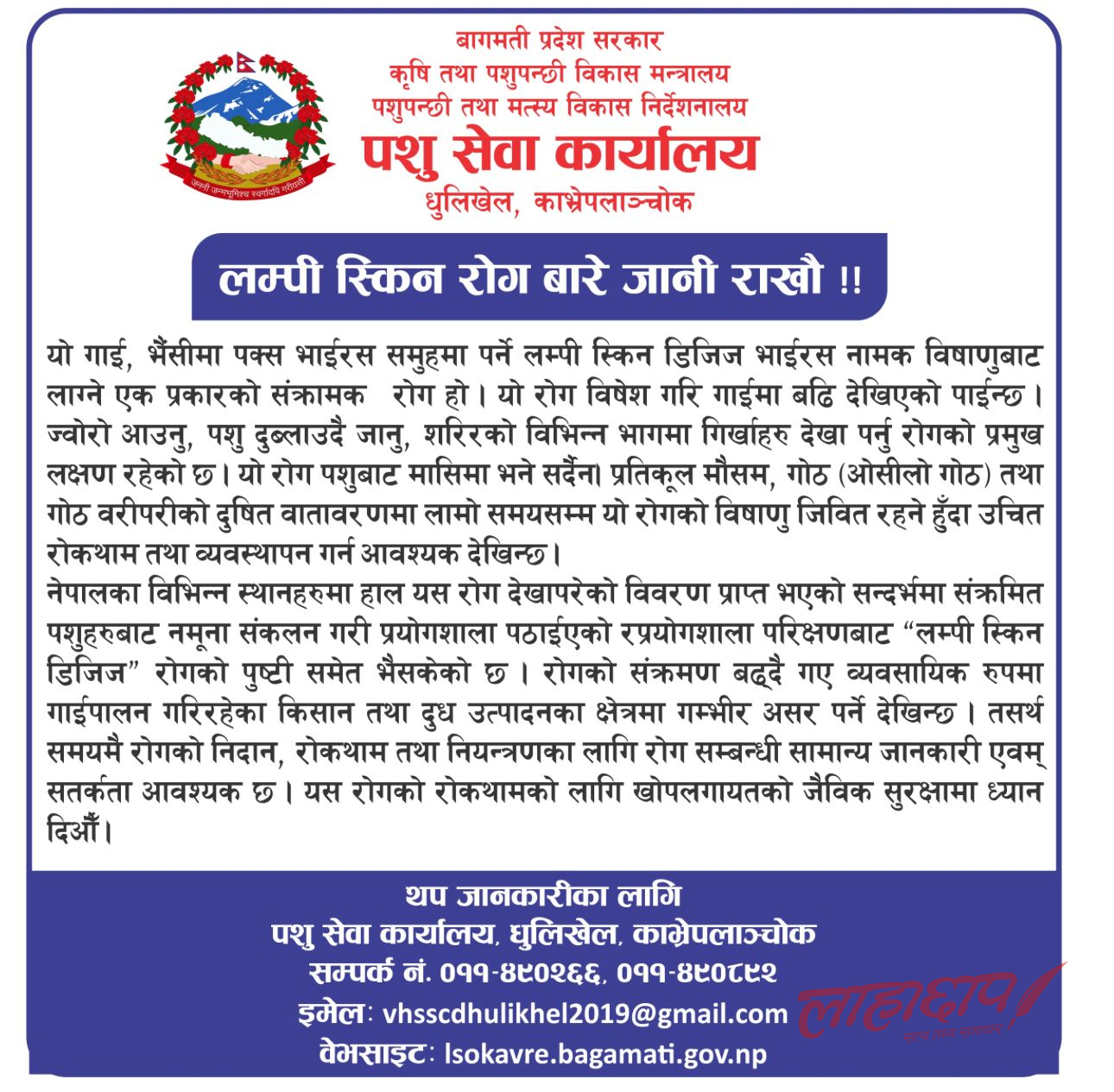 Advertisement