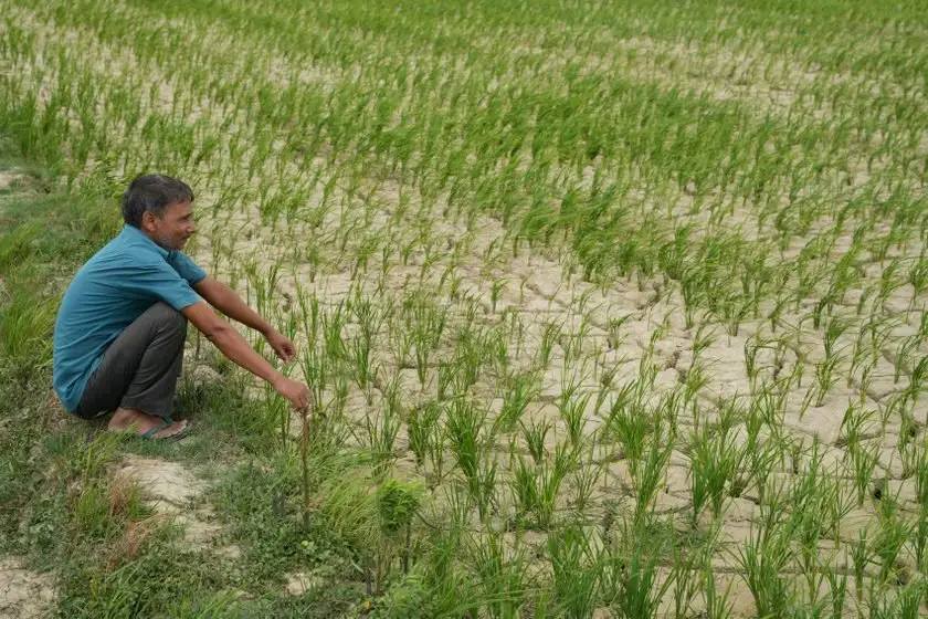 मधेसमा खडेरीको असर घटाउन कृषिबाली परिवर्तन गर्नुपर्नेमा जोड