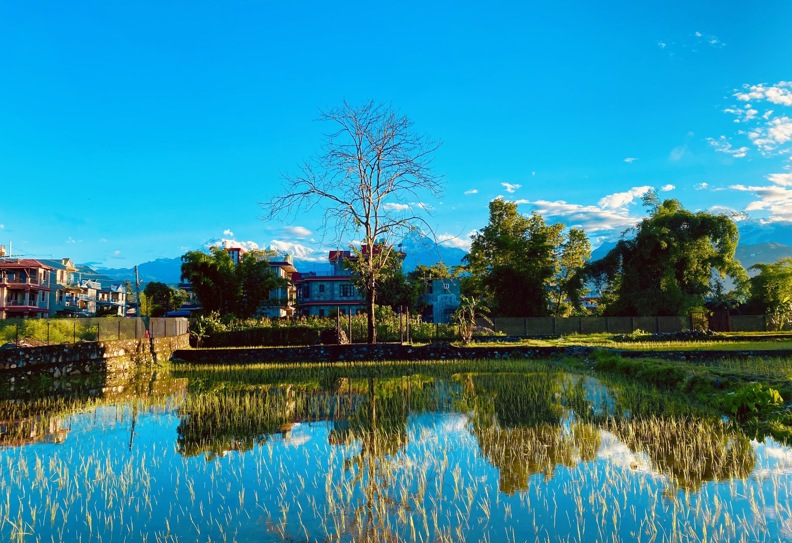 माछापुच्छ्रे हिमालको रमणीय दृश्य