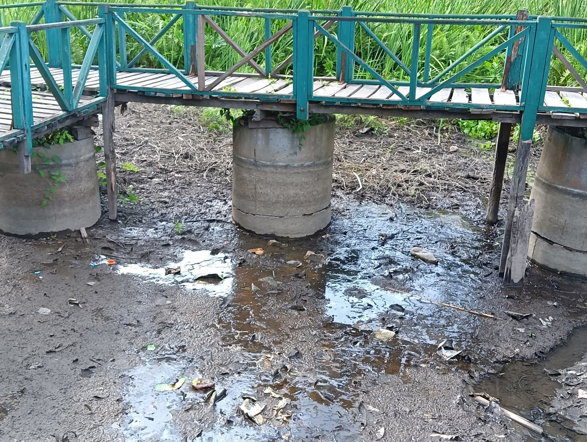 खडेरीले सुक्न थाल्यो बेतना सिमसार
