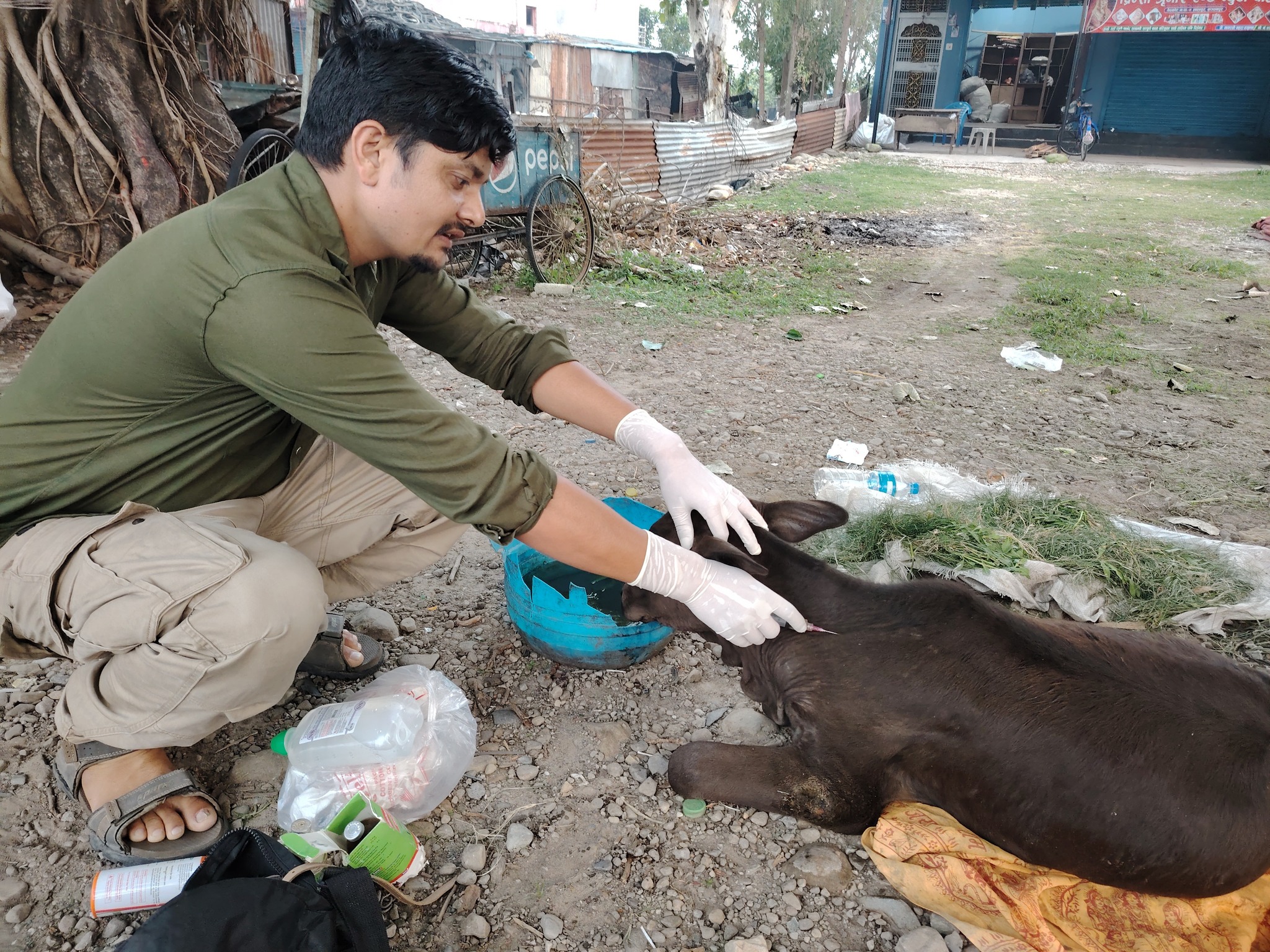 घाइते छाडा चौपायाको उद्धारमा विष्णु