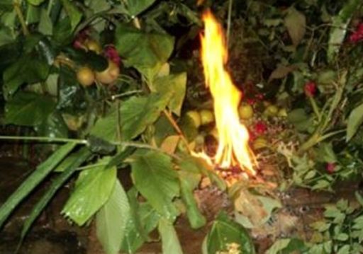 लोप हुँदै साउने सङ्क्रान्तिमा लुतो फाल्ने संस्कृति