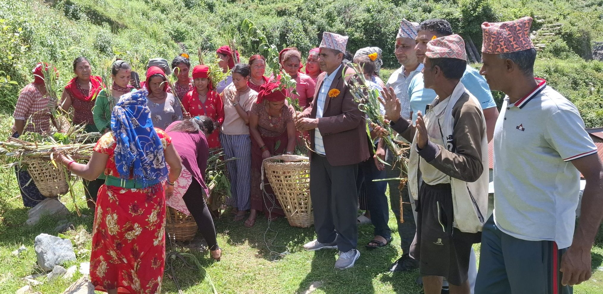 झाडी फाँडेर घाँस खेती, घरघरमा बाख्रापालन
