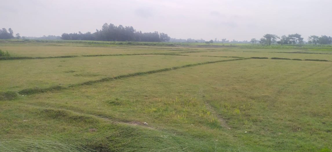 फितलो विपद् पूर्वतयारीले निम्त्याउनसक्ने सङ्कट