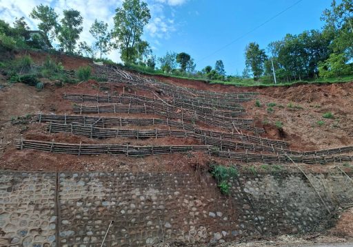 पहिरो रोकथाम गर्न ‘बायो इञ्जिनियरिङ’ प्रविधि