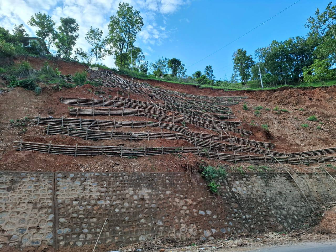 पहिरो रोकथाम गर्न ‘बायो इञ्जिनियरिङ’ प्रविधि