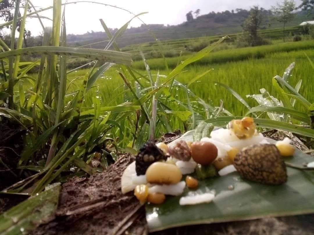 प्राकृतिक देवता मान्दै भ्यागुतालाई भात