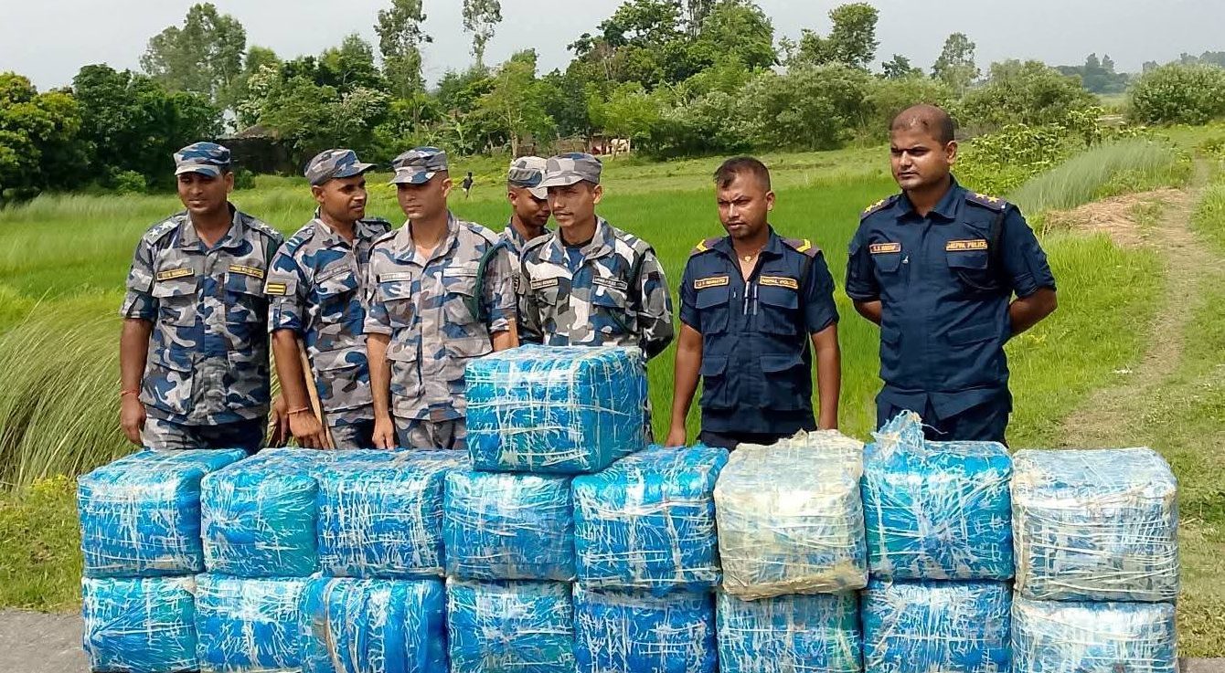 सप्तरीको पातोबाट ३९६ किलो गाँजा बरामद