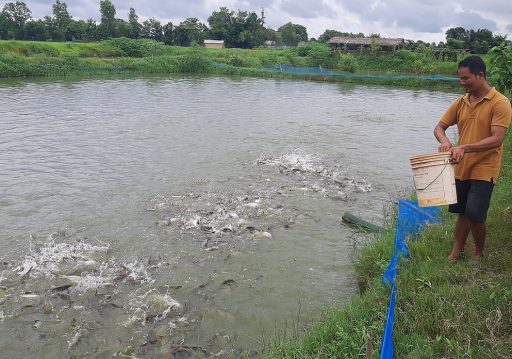 अवैध रूपमा भित्रिने माछाका कारण किसान समस्यामा