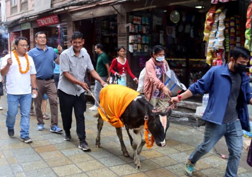 गाईजात्राका अवसरमा राजधानीका टोलटोलबाट सांस्कृतिक झाँकी