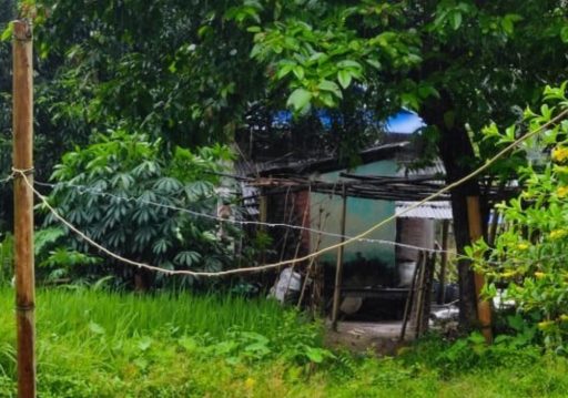हात्ती धपाउन जोखिम मोलेर विद्युतीय घेराबारा