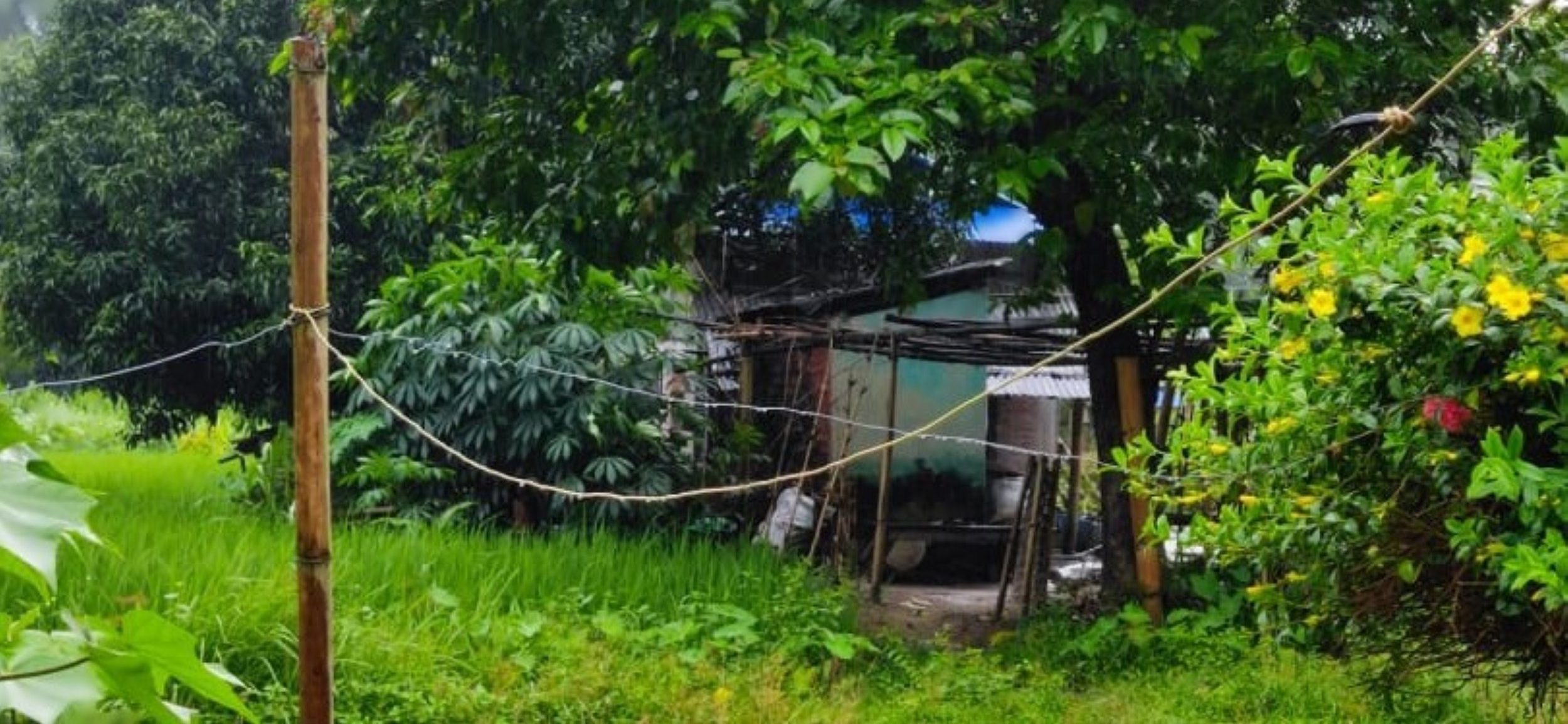 हात्ती धपाउन जोखिम मोलेर विद्युतीय घेराबारा