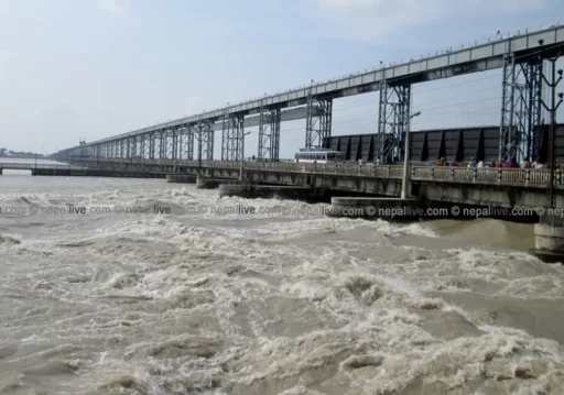 कोशी ब्यारेजको ३४ ढोका खोलियो