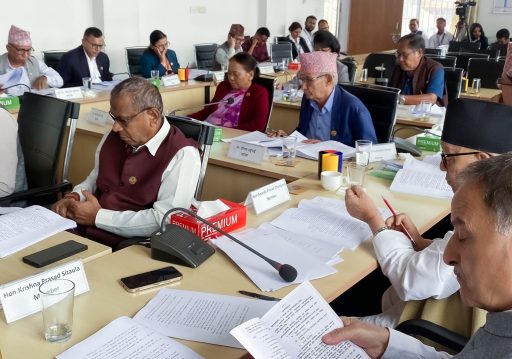 विधायन व्यवस्थापन समितिमा अनिवार्य अवकाशसम्बन्धी व्यवस्थामा सहमति