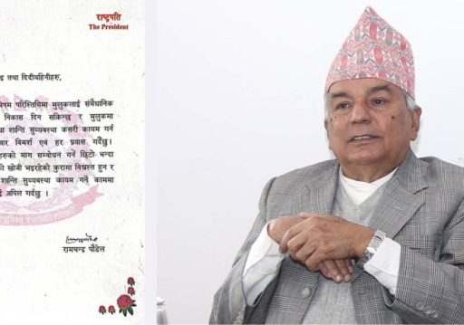 संवैधानिक दायरामा देशलाई निकास दिन प्रयास गर्दैछु : राष्ट्रपति