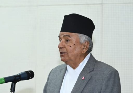 संवैधानिक दायरामा देशलाई निकास दिन प्रयास गर्दैछु : राष्ट्रपति