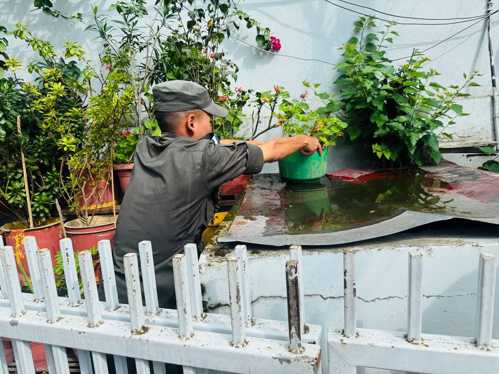 डेङ्गी रोग सङ्क्रमणबाट जोगिन काठमाडौँ महानगरपालिकाको आग्रह