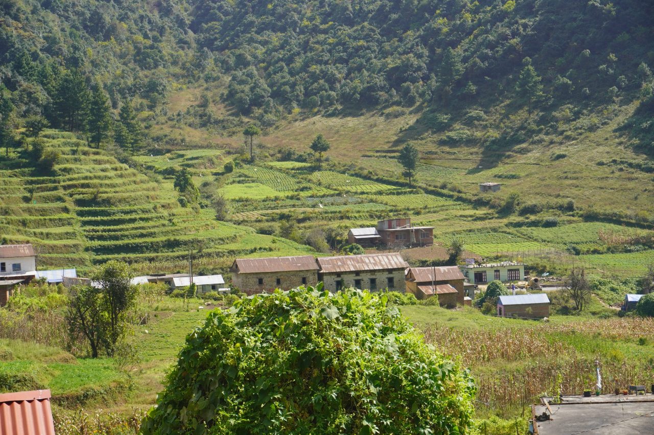 भविष्य उज्यालो बनाउनकै लागि बारीमा पसिना बगाउँदैछन् चखेलका युवाहरु