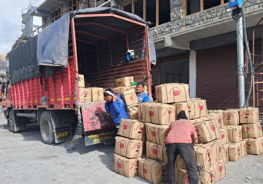 मुस्ताङमा यस वर्ष रु एक अर्बभन्दा बढीको स्याउ उत्पादन