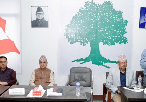 कांग्रेस केन्द्रीय कार्यसमितिको बैठक कात्तिक १३ गतेसम्म स्थगित