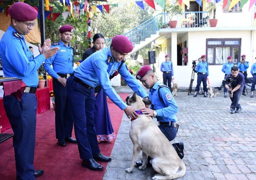 नेपाल प्रहरी केनाइन कार्यालयमा कुकुर पूजा, ‘टाइगर’ कुकुर पुरस्कृत