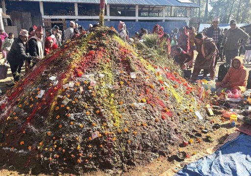 तिहारको पाँचौँ दिनः गरियो गोवर्द्धन, बलि, गोरु र हलि पूजा