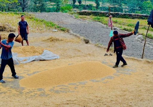 पर्वतमा ६५ करोडको कृषिजन्य वस्तुको कारोबार