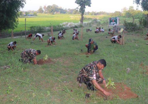 प्रकृति संरक्षणमा नौ हजार सेना