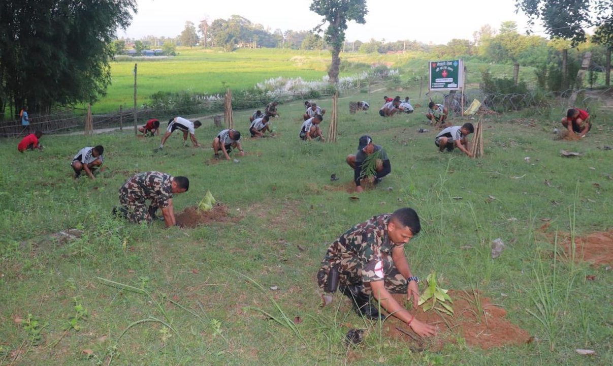 प्रकृति संरक्षणमा नौ हजार सेना