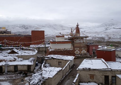 बाढीले तेताङमा १२ च्याङ्ग्रा मरे, सिँचाइ कुलो र खानेपानीमा क्षति