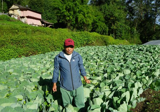 देशभर कृषि सर्वेक्षण गरिँदै