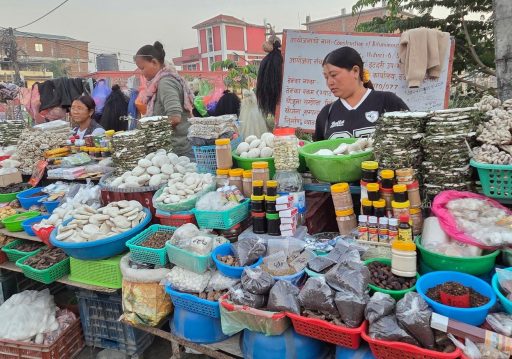 चिसो पहाडबाट झरेर तराईमा जडीबुटी व्यवसाय